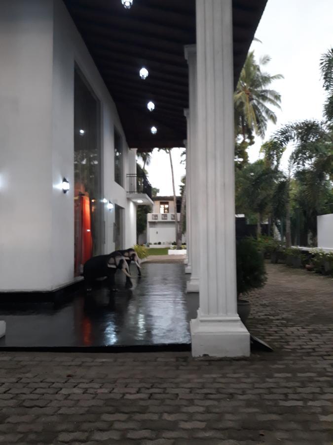 The Kingston Hotel キリバスゴダ エクステリア 写真